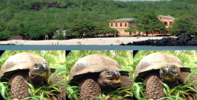 Galapagos